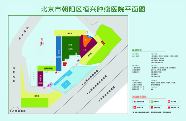 操逼啊啊啊爽啊一起操视频北京市朝阳区桓兴肿瘤医院平面图